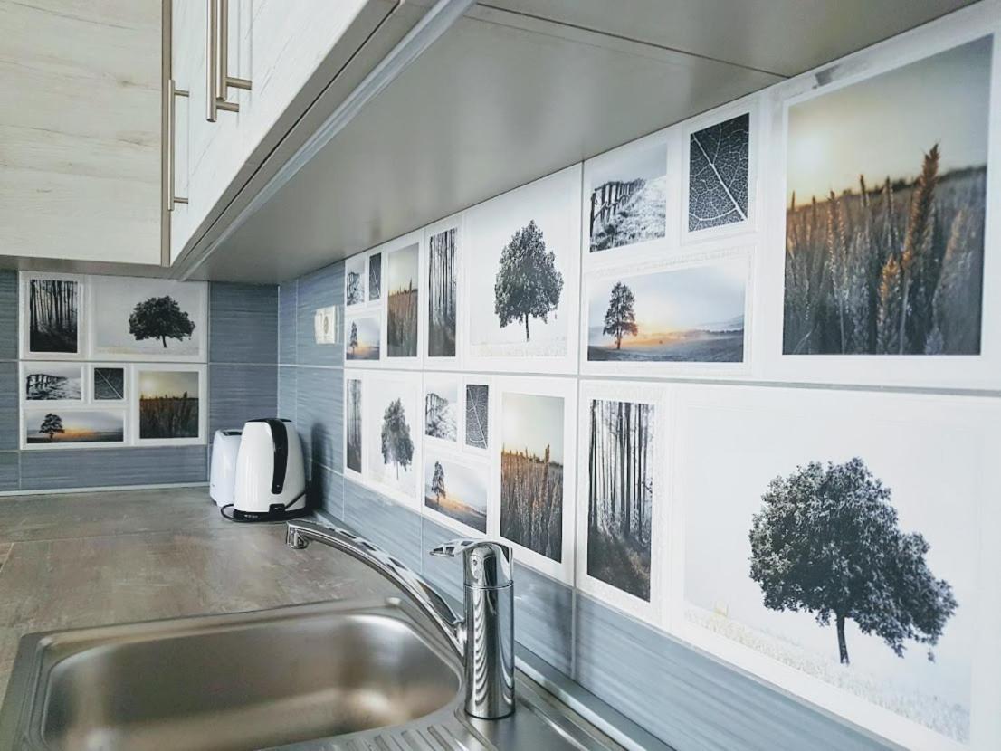 Silver Lodge Apartments เอ็กเกอร์ ภายนอก รูปภาพ